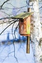 Wooden nesting box bird house on the tree outdoor. Winter.