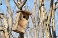 Wooden nesting box hanged on a tree in the garden