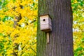 Wooden Nesting Box on Tree Trunk