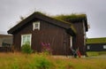 Wooden Norwegian grass roof house in the rain Royalty Free Stock Photo