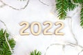 Wooden numbers 2022 silhouette with Christmas lights and green fir tree branches on light background. New Year beginning Royalty Free Stock Photo