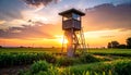 Wooden observation tower in a cornfield at sunset with dramatic clouds lookout tower fire tower Royalty Free Stock Photo