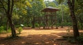 Wooden observation tower stands in a forest clearing, surrounded by dense trees. The Royalty Free Stock Photo