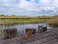 Wooden observatory of swamp environment in national park Kopacki Rit in continental Croatia