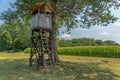 Wooden observatory tower in the middle of field Royalty Free Stock Photo