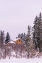 Wooden ochre cottage in a winter forest landscape, snowing time, selective focus