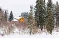 Wooden ochre cottage in a winter forest landscape, snowing time, selective focus Royalty Free Stock Photo