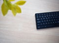 Wooden office table with laptop keyboard and plant Royalty Free Stock Photo