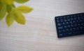 Wooden office table with laptop keyboard and plant Royalty Free Stock Photo