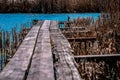 Wooden, old bridge in a thicket of reeds facing the river, photo stylized as an oil painting