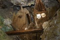 Wooden old coffins with skulls in TampangAllo burial cave at Tan