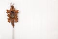 Wooden old cuckoo clock hanging on a white wall.