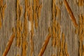Wooden old panel weathered peeling varnish paint lines background