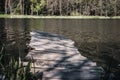 Wooden old pier reaches into tranquil river in the forest