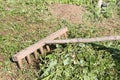 The wooden old rake cleaning a mowed grass Royalty Free Stock Photo