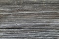 Wooden old wall texture, wood background closeup Royalty Free Stock Photo