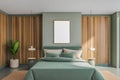 Wooden and olive panoramic master bedroom interior with poster Royalty Free Stock Photo