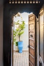 Wooden open door leading to rooftop  with plant of riad - traditional urban house in medina of Fez, Morocco, North Africa.Wooden Royalty Free Stock Photo