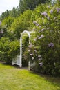 Arch in the green garden with blooming lilac