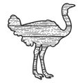 Wooden ostrich bird silhouette sketch vector Royalty Free Stock Photo
