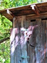 Wooden outhouse with crescent moon on door and trees Royalty Free Stock Photo