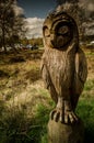 Wooden Owl