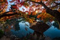 The wooden pagoda of Toji Temple with beautiful maple leaves, Kyoto, Japan