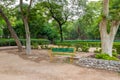 Bench in Park, painted green and yellow Bench in garden under the tree shade Royalty Free Stock Photo