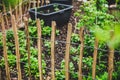 A wooden paling fence in the garden, landscaping Royalty Free Stock Photo