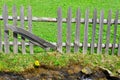 Wooden palisade fencing