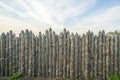 Wooden palisade made of logs. Log wooden fence.