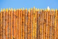 A wooden palisade made of logs sharpened on a sharp Royalty Free Stock Photo
