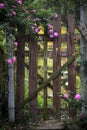 The Wooden Palisade In Rose Garden