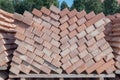 Wooden pallet with red building bricks for transportation on backdrop of trees. They laid diagonally in two columns.