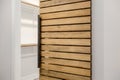 Wood Panel Modern Sliding Closet Door with Empty Closet and Sleek Black Door Handle