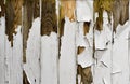 Wooden Panel with Peeling Paint