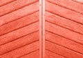 Wooden pannels texture colored in color of year 2019 Living Coral background. Bright Macro color 16-1546 background. Retro gate Royalty Free Stock Photo