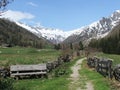 Wooden Park Bench Royalty Free Stock Photo