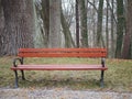 Wooden park bench in autumn, alone, empty Royalty Free Stock Photo