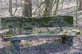 Wooden park bench covered with bright green moss surrounded by dry, brown leaves in woodland park Royalty Free Stock Photo