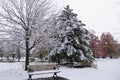 A wooden park bench in a park and trees around are covered with ice and snow after a heavy snowstorm Royalty Free Stock Photo