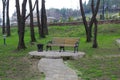 A wooden park bench sitting in the grass Royalty Free Stock Photo