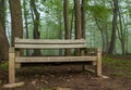 A wooden park bench on a tree line in Frick Park on a foggy spring morning Royalty Free Stock Photo