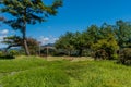 Wooden park benches and gazebo in treed rural park