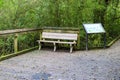 Wooden park benches next a wooden railing along a wooden footpath surrounded by lush green trees with fallen autumn leaves