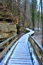 A wooden passage in the forest in Mullerthal