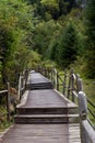 Wooden path