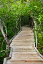 Wooden Path