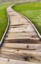 Wooden Path