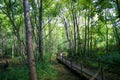 Wooden path across Beauvoir's natural park